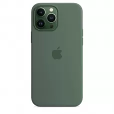 Чехол Apple MagSafe для iPhone 13 Pro MAX, SILICONE CASE,Eucalyptus / Эвкалипт