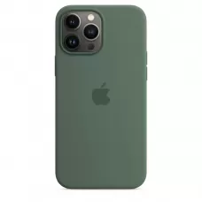 Чехол Apple MagSafe для iPhone 13 Pro , SILICONE CASE,   Eucalyptus / Эвкалипт