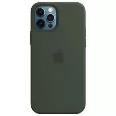 Apple Silicone Case MagSafe для iPhone 12 Pro / 12 (кипрский зелёный)